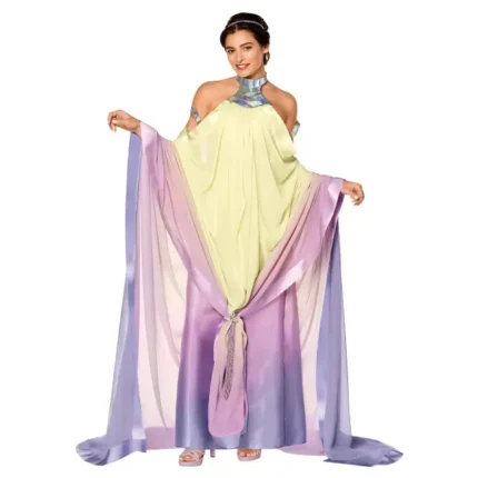 Adult Padmé Amidala Dress Costume Star Wars